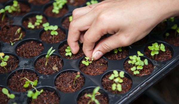 荷兰的道德投资特色