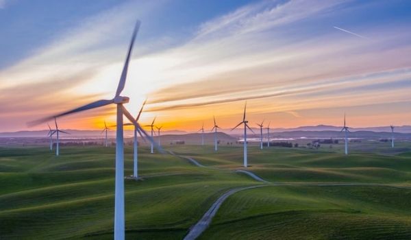 在荷兰过更可持续的生活的7种方法走向绿色